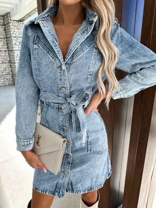 Tokio denim dress